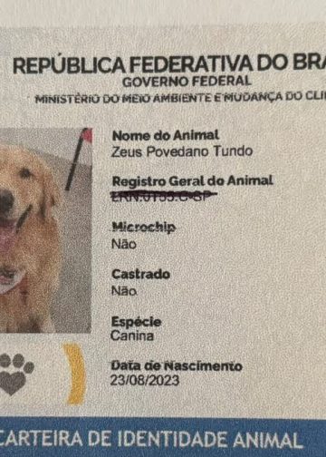 'RG Pet' permite identificação por QR Code e ajuda a localizar animais perdidos; veja os nomes mais registrados e saiba como fazer